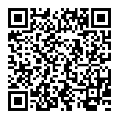 湛江市中級人民法院軟件開發服務與成品軟件租賃購買項目解析